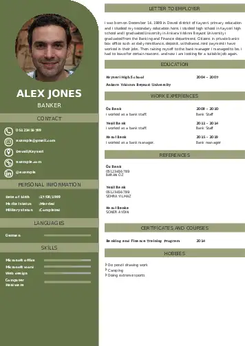 Banker resume example